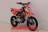 Motoland WRX 250 PIT 17/14 MSD