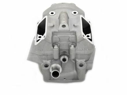 Головка цилиндра KAYO двиг. ZS NC250 (вод.охл.) (P061068) CN