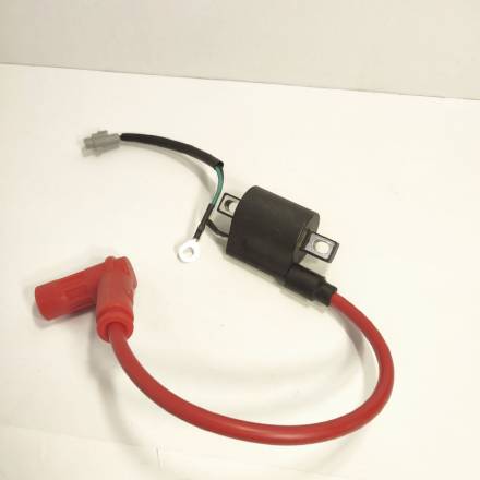 Катушка зажигания в сборе с колпачком и проводом Hasky F7X 250 2T