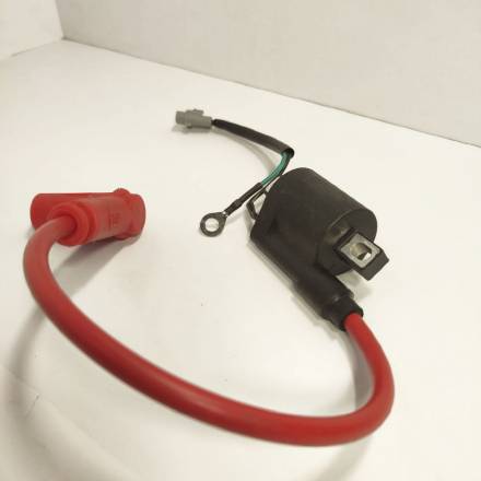 Катушка зажигания в сборе с колпачком и проводом Hasky F7X 250 2T