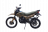 Мотоцикл Racer ZWC2-300X Panther MSD