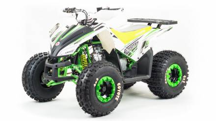 Квадроцикл Motoland Coyote 125 MSD