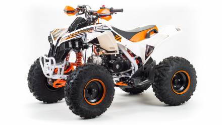 Квадроцикл Motoland Raptor 125 MSD