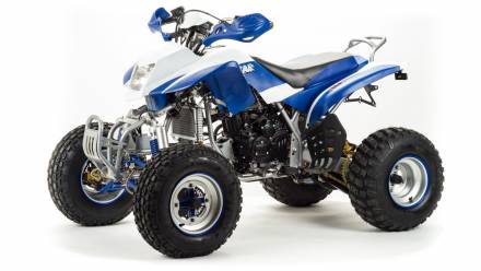 Квадроцикл Motoland Dakar 250 MSD