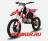 Apollo RXF 140 Freeride 19/16 MSD