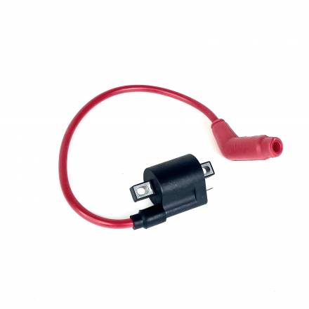 Катушка зажигания PROCIDA 2020 NB300