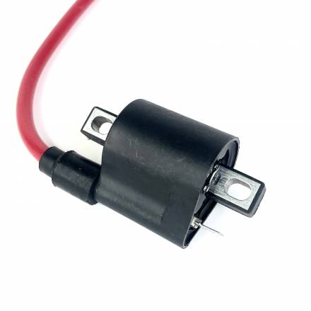 Катушка зажигания PROCIDA 2020 NB300