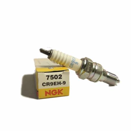 Свеча NGK CR9EH-9