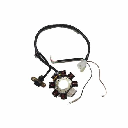 Статор генератора Tracer 2T