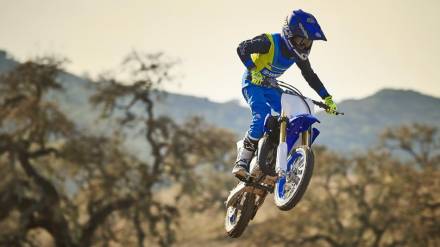 Мотоцикл кроссовый Yamaha YZ65 (2018 м.г.) MSD