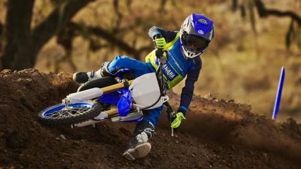 Мотоцикл кроссовый Yamaha YZ65 (2018 м.г.) MSD