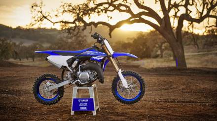 Мотоцикл кроссовый Yamaha YZ65 (2018 м.г.) MSD