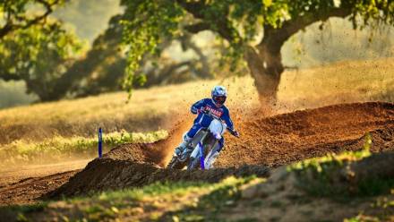 Мотоцикл кроссовый Yamaha YZ450F (2019 м.г.) MSD