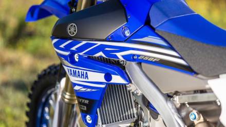 Мотоцикл кроссовый Yamaha WR250F (2019 м.г.) MSD