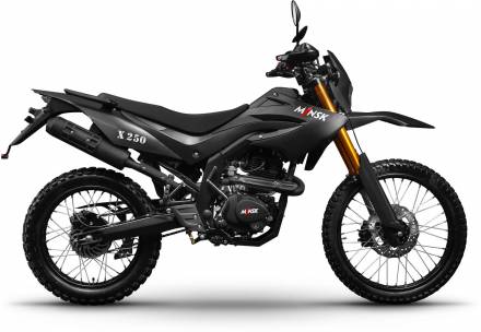 Мотоцикл Minsk X250 Enduro MSD