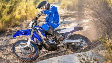 Мотоцикл кроссовый Yamaha WR450F (2019 м.г.) MSD