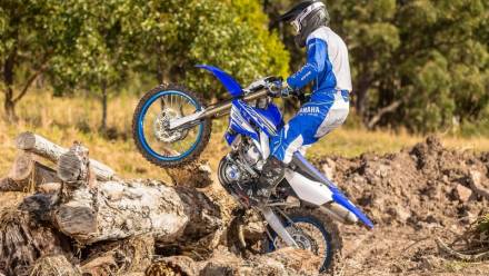 Мотоцикл кроссовый Yamaha WR450F (2019 м.г.) MSD
