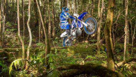 Мотоцикл кроссовый Yamaha WR450F (2019 м.г.) MSD