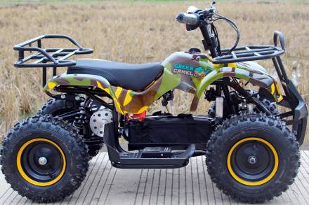 Квадроцикл GreenCamel Gobi K200 (36V 800W R6 Цепной привод) MSD