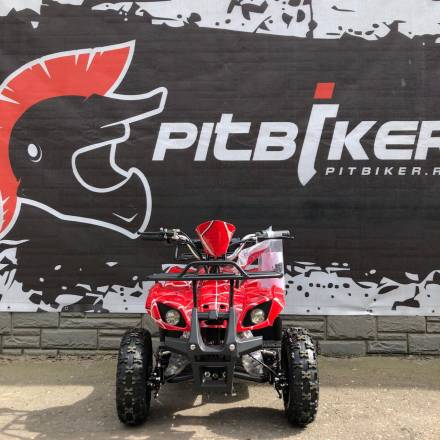 Квадроцикл GreenCamel Gobi K21 (36V 800W R6 Цепной привод) MSD