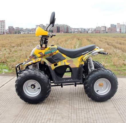 Квадроцикл GreenCamel Gobi K600 (36V 800W R7 Цепной привод) MSD