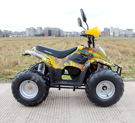 Квадроцикл GreenCamel Gobi K600 (36V 800W R7 Цепной привод) MSD
