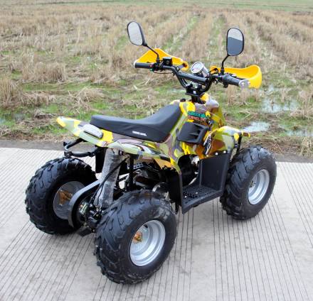 Квадроцикл GreenCamel Gobi K600 (36V 800W R7 Цепной привод) MSD