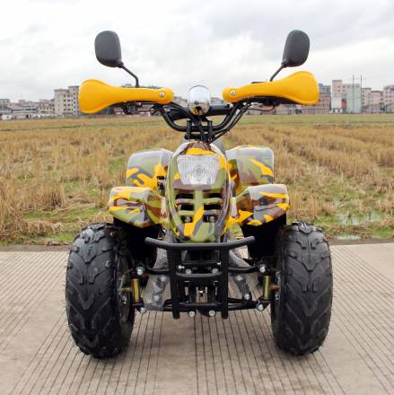 Квадроцикл GreenCamel Gobi K600 (36V 800W R7 Цепной привод) MSD