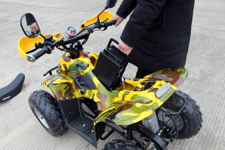 Квадроцикл GreenCamel Gobi K600 (36V 800W R7 Цепной привод) MSD