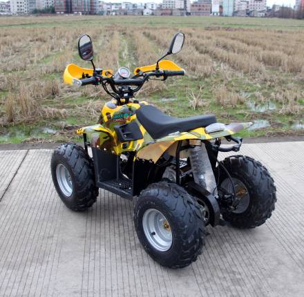 Квадроцикл GreenCamel Gobi K600 (36V 800W R7 Цепной привод) MSD