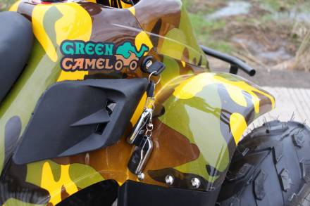 Квадроцикл GreenCamel Gobi K600 (36V 800W R7 Цепной привод) MSD