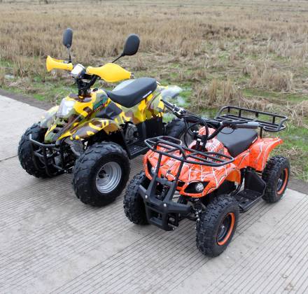 Квадроцикл GreenCamel Gobi K600 (36V 800W R7 Цепной привод) MSD