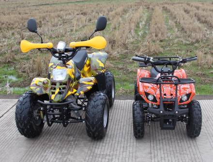 Квадроцикл GreenCamel Gobi K600 (36V 800W R7 Цепной привод) MSD