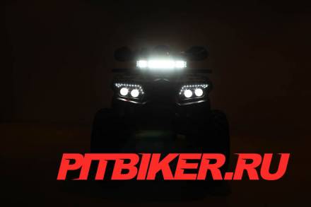 Квадроцикл 200 WILD TRACK PRO MSD