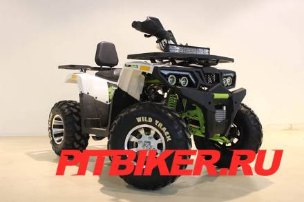 Квадроцикл 200 WILD TRACK PRO MSD