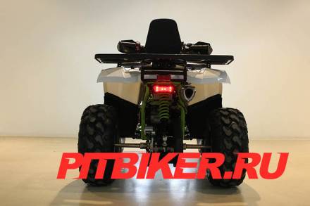 Квадроцикл 200 WILD TRACK PRO MSD