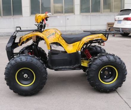 Квадроцикл GreenCamel Atakama T200 (48V 800W R8 Дифференциал) MSD