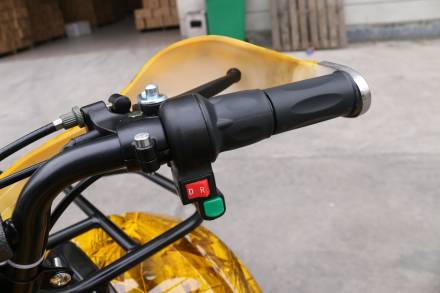 Квадроцикл GreenCamel Atakama T200 (48V 800W R8 Дифференциал) MSD