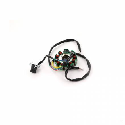 Статор генератора двиг. CG150 (9+2 катушки)  SM-PARTS