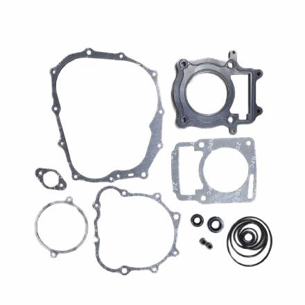 Комплект прокладок двигателя ZS172FMM -249F