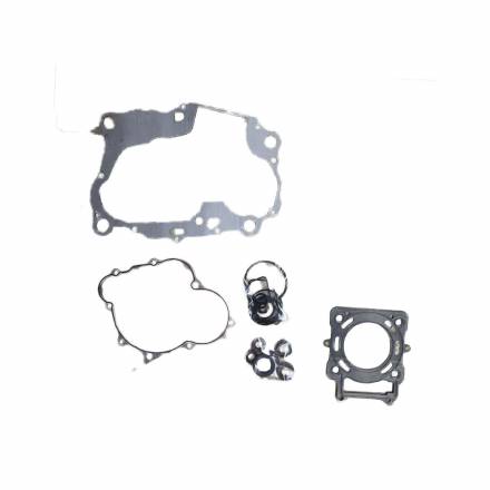 Комплект прокладок двигателя ZS174MN -CBS300