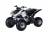 Квадроцикл (снегоболотоход 4-х колесный)  KAYO  VIPER 125 MSD