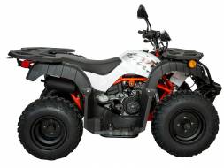 Квадрицикл KAYO AU150 CVT (белый пластик 2024 г.) MSD