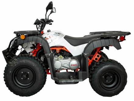 Квадрицикл KAYO AU150 CVT (белый пластик 2024 г.) MSD